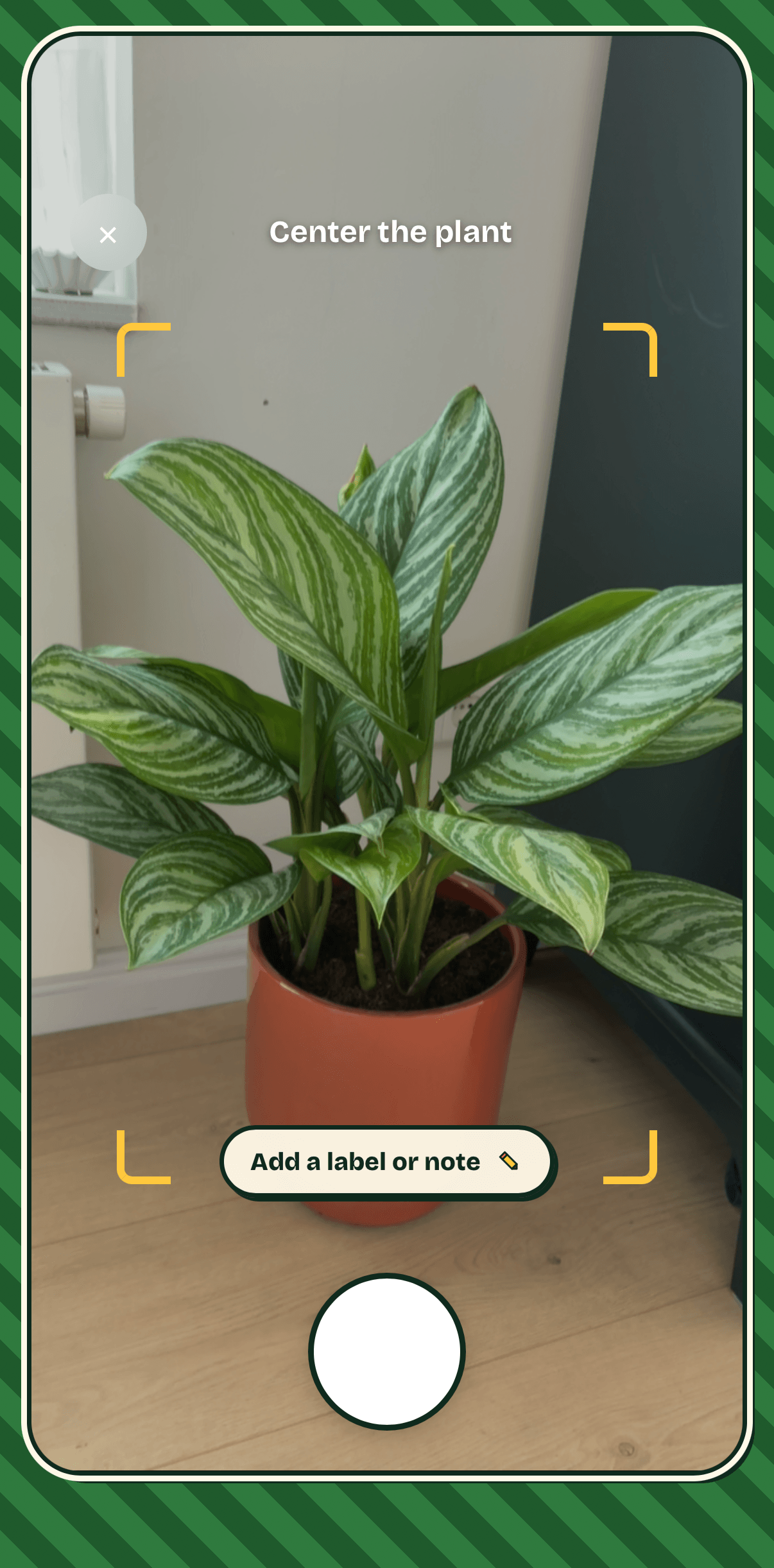 Spruit plant doctor on iPhone